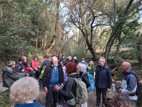 Sortida a Sant Cristòfol del Bosc (Llambilles)